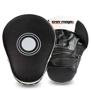Boxing Pads (pair) Thumbnail